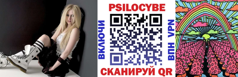Псилоцибиновые грибы Cubensis  Краснослободск 