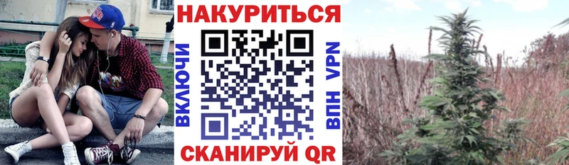 Канабис Bruce Banner  даркнет как зайти  Краснослободск  купить наркоту 